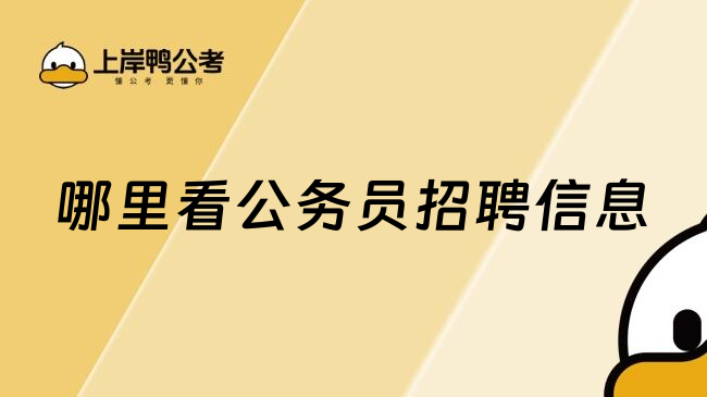哪儿看公务员招聘信息？2026最新权威途径大全